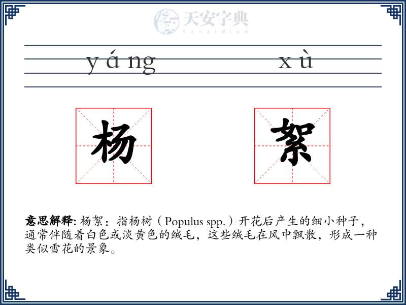 杨絮