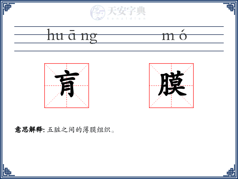 肓膜