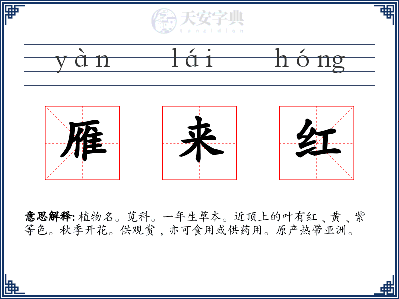 雁来红