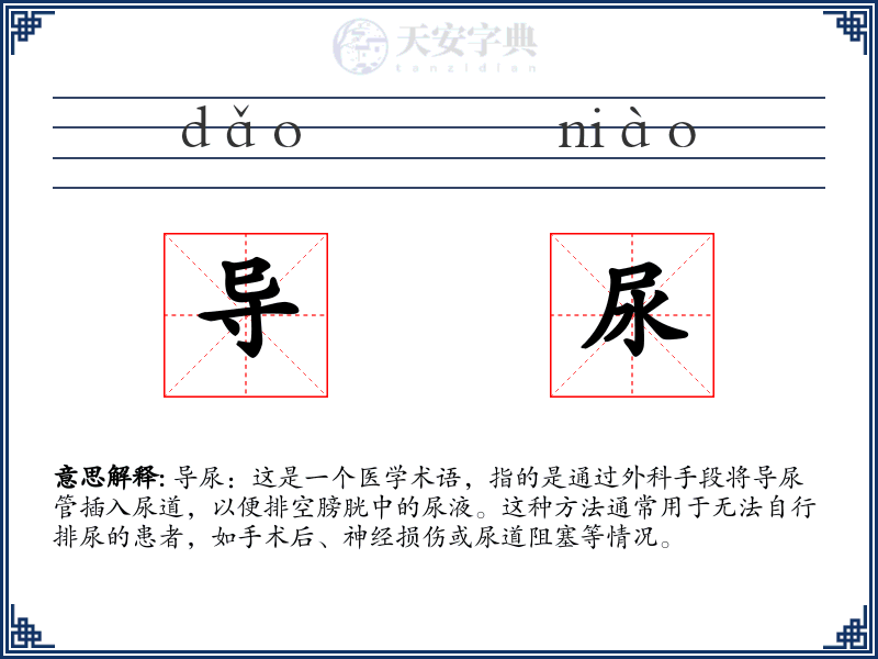 导尿