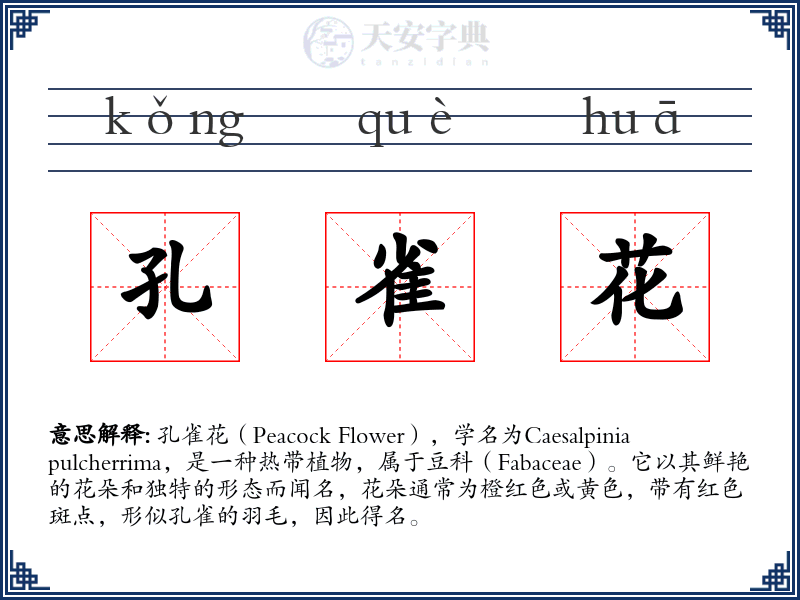 孔雀花