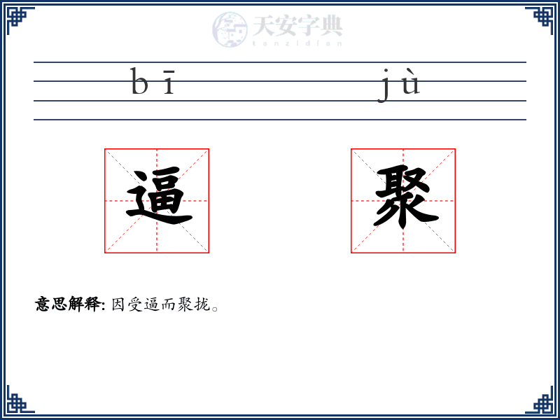 逼聚