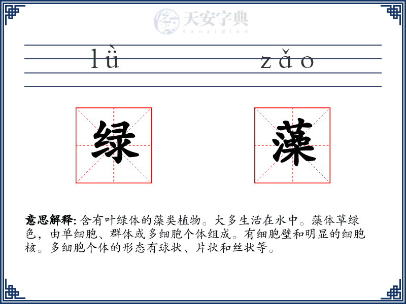 绿藻