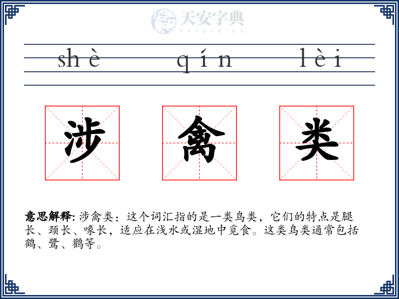 涉禽类