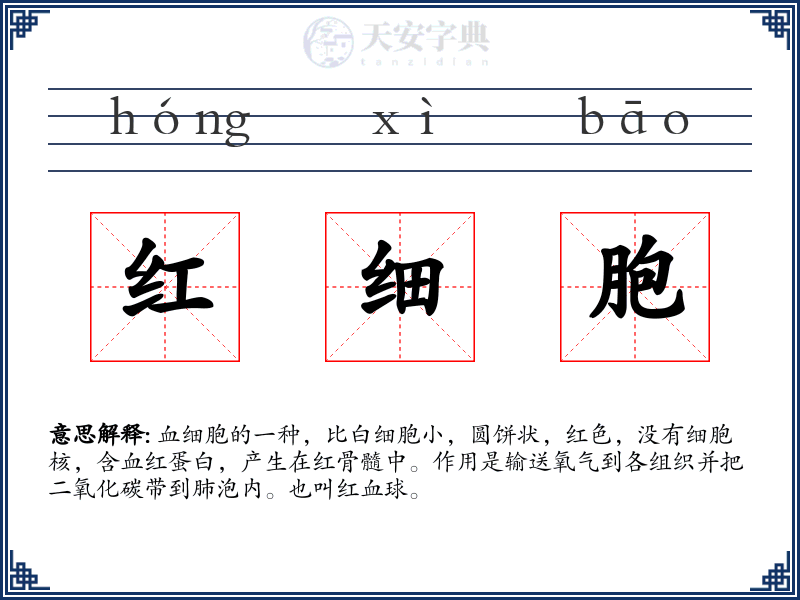 红细胞