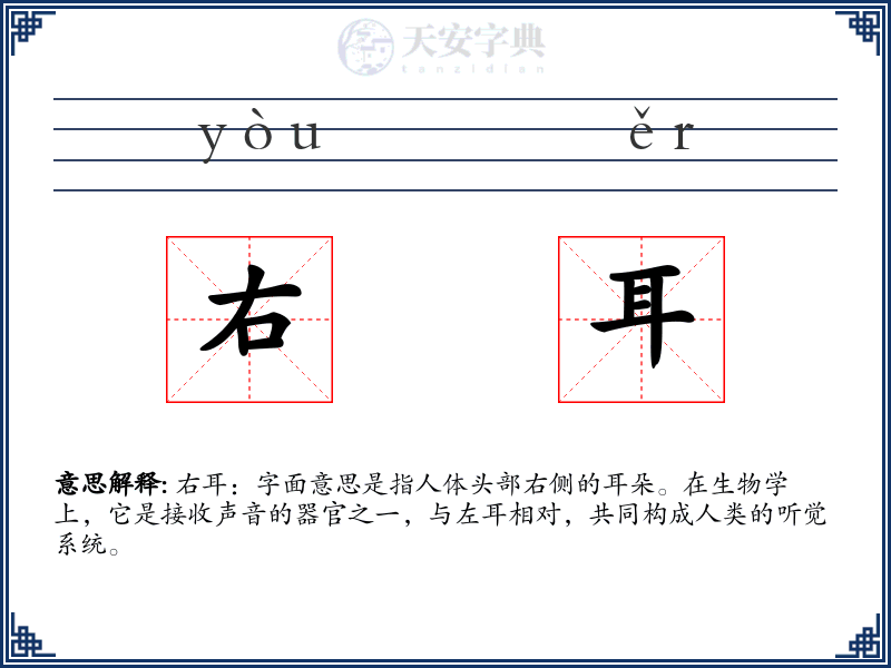 右耳