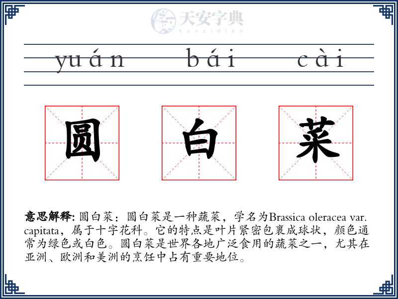 圆白菜