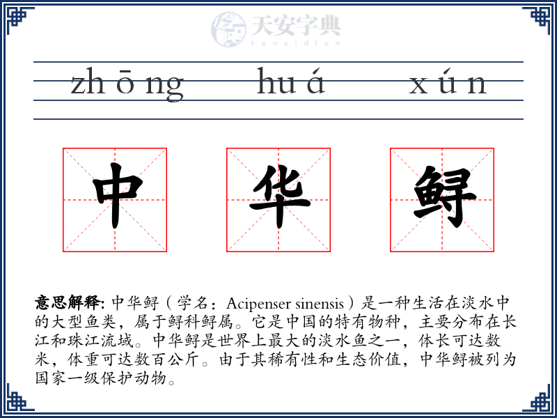 中华鲟