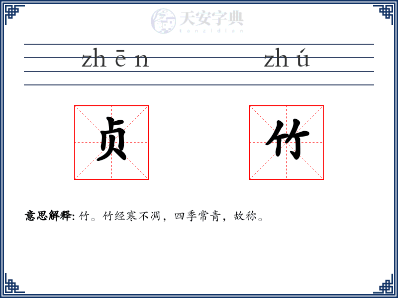 贞竹