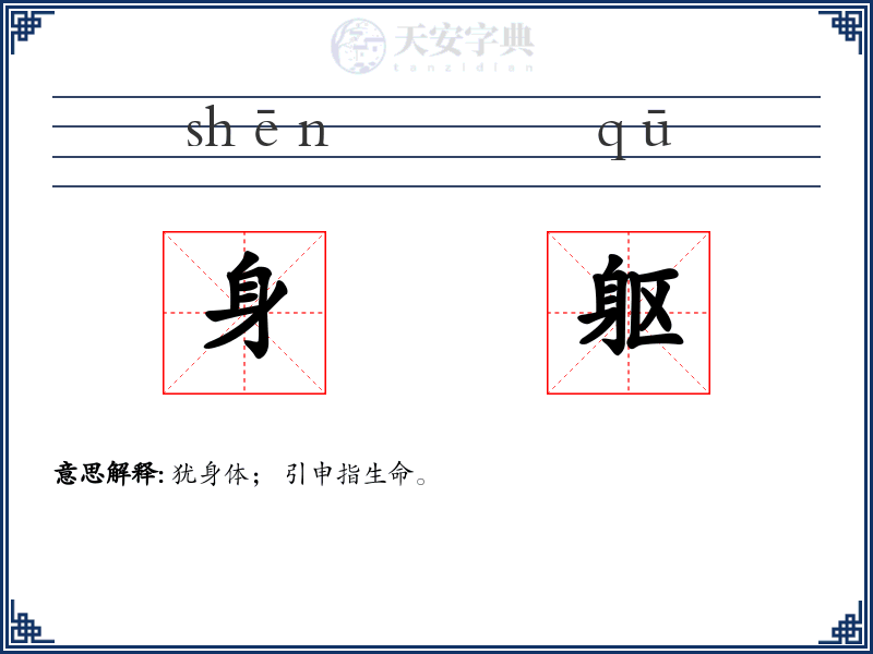 身躯
