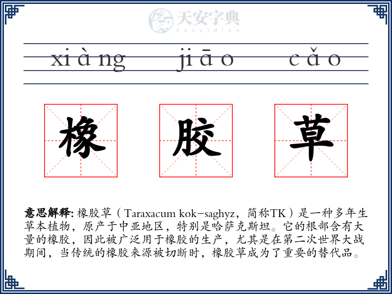 橡胶草