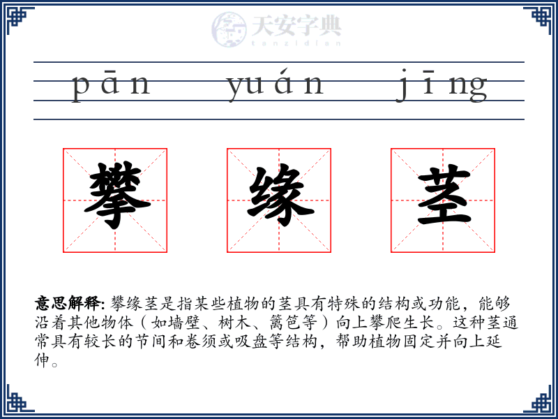 攀缘茎