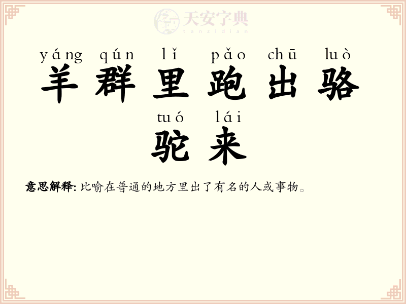 羊群里跑出骆驼来