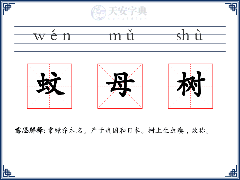 蚊母树