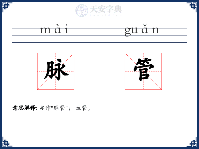 脉管