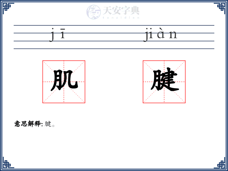 肌腱