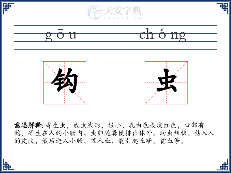 钩虫