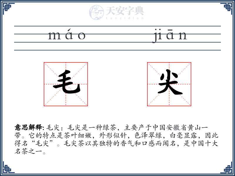毛尖