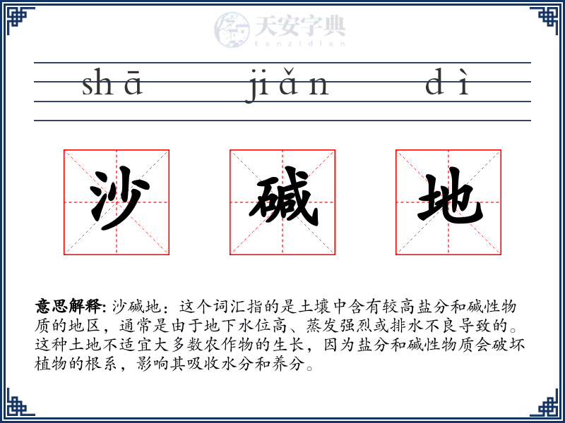 沙碱地