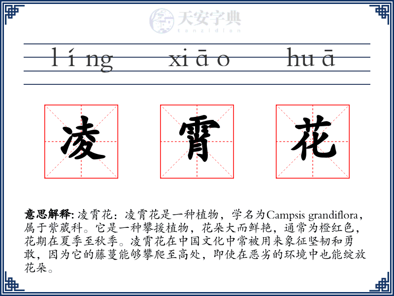 凌霄花