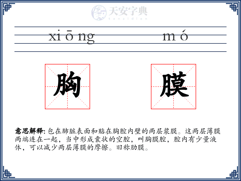 胸膜