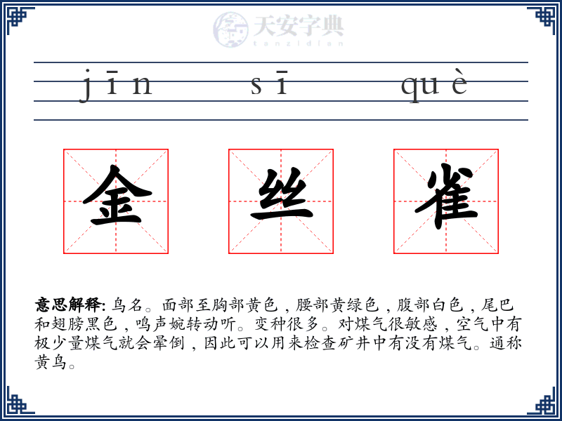 金丝雀