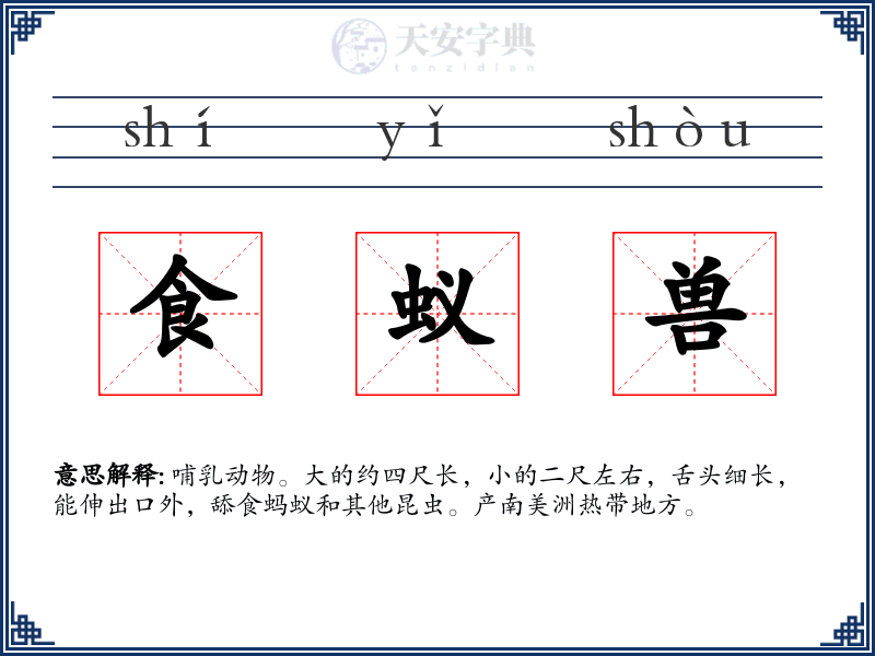 食蚁兽