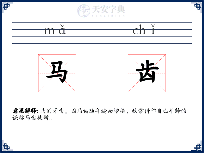 马齿
