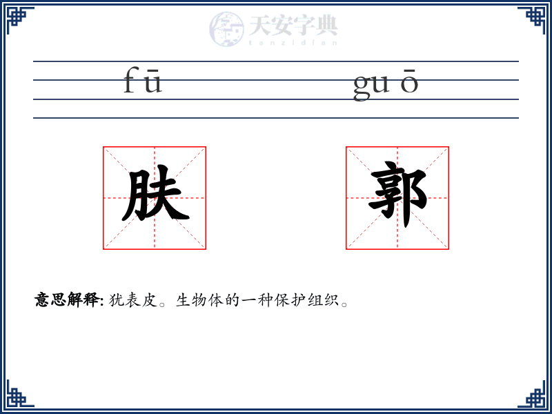 肤郭
