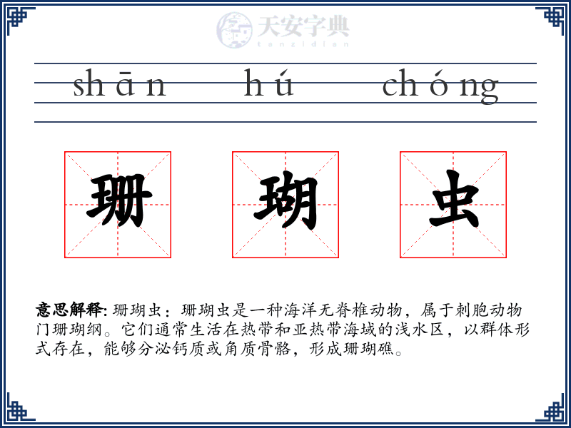 珊瑚虫