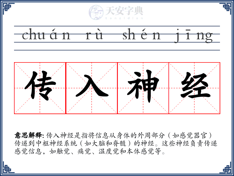 传入神经
