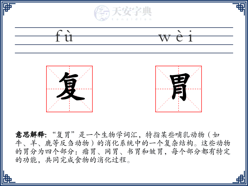 复胃