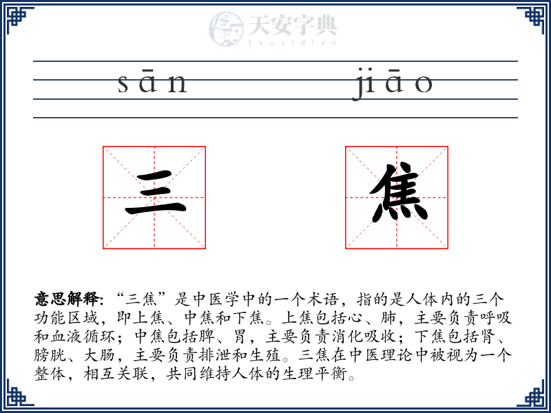 三焦