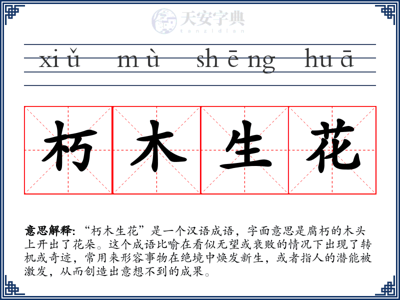 朽木生花