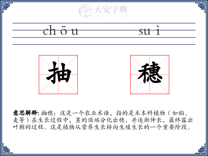 抽穗