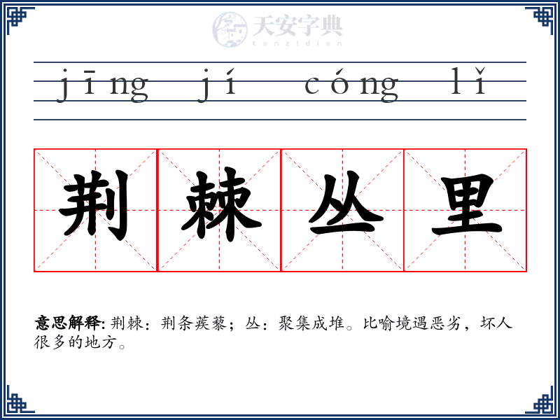 荆棘丛里