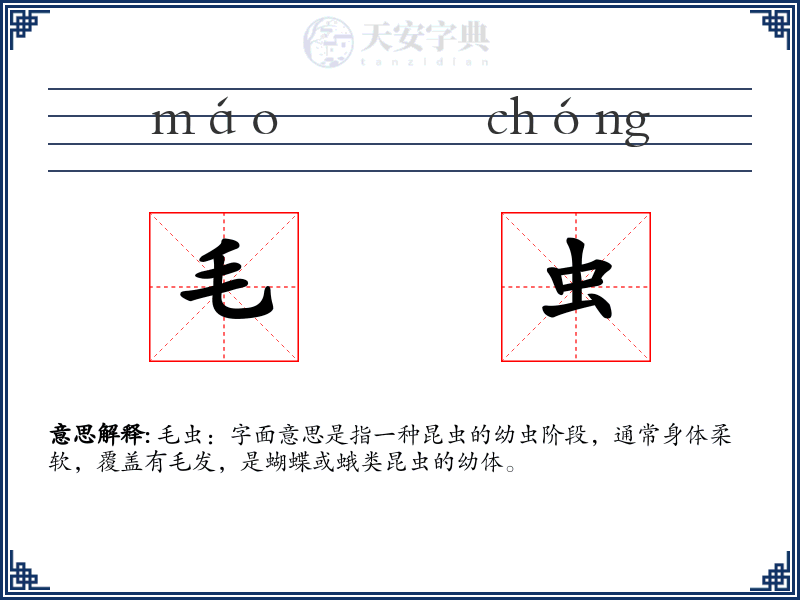 毛虫