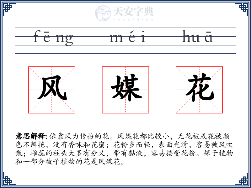 风媒花