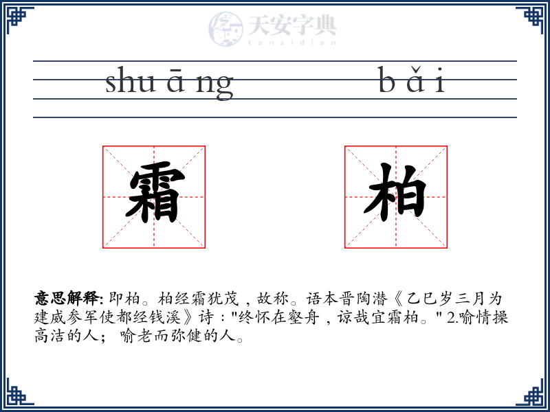 霜柏