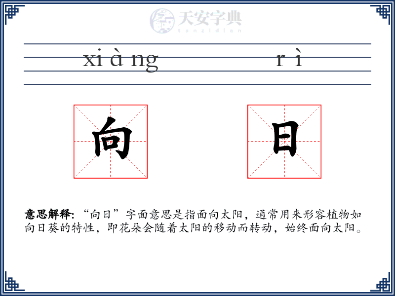 向日