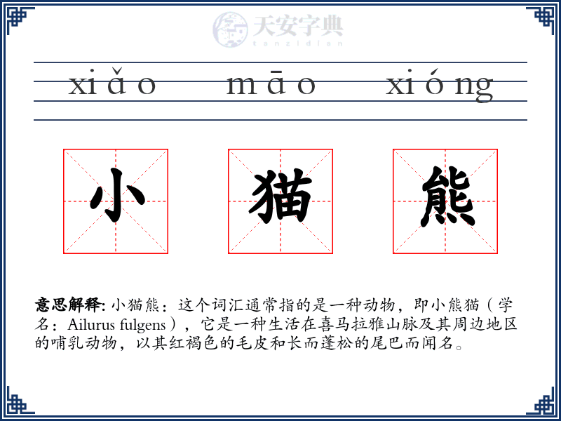 小猫熊