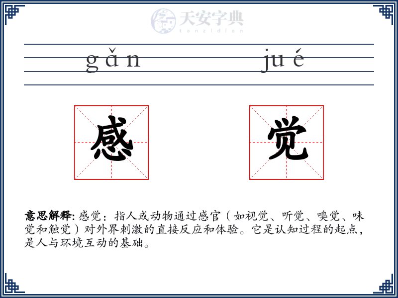 感觉