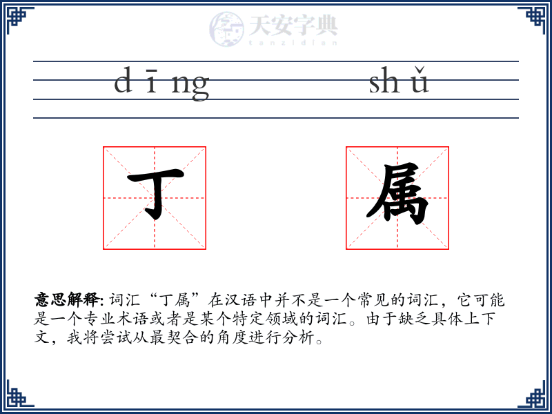 丁属