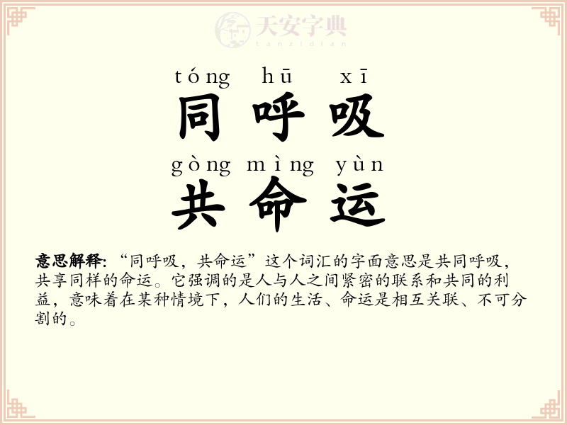 同呼吸，共命运