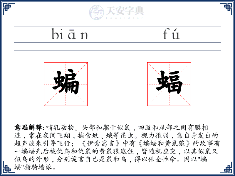 蝙蝠