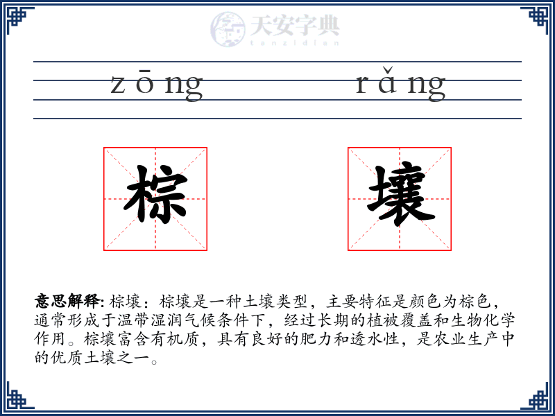 棕壤
