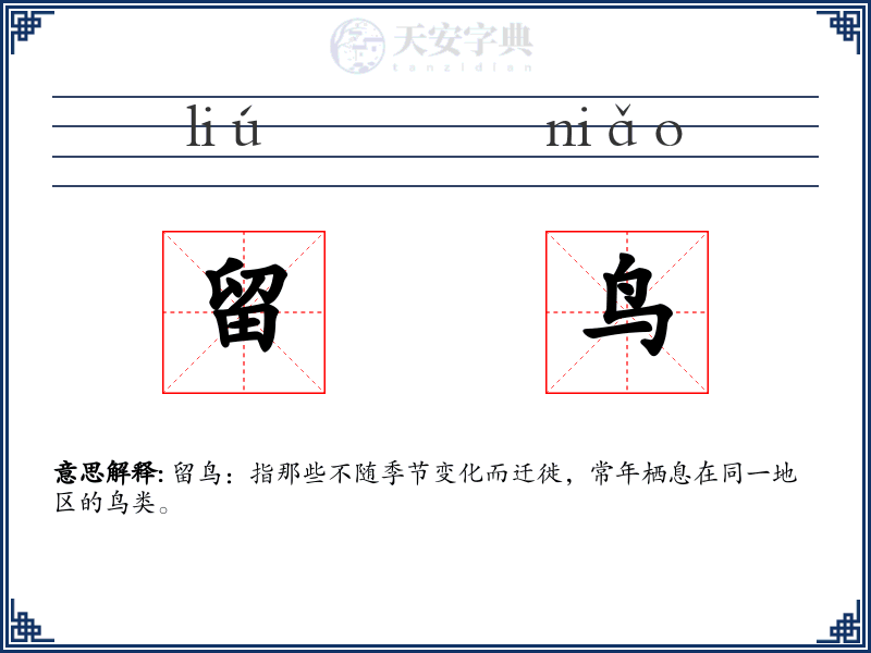 留鸟