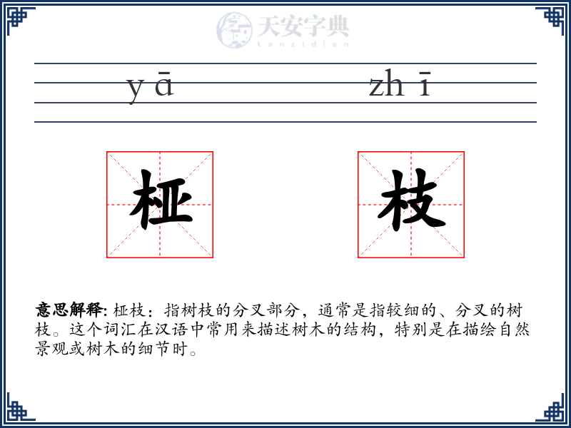 桠枝