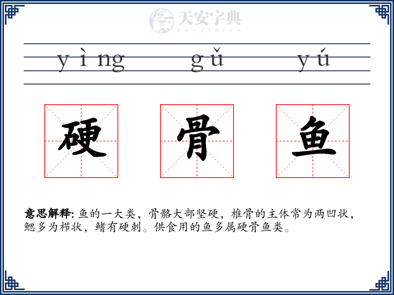 硬骨鱼
