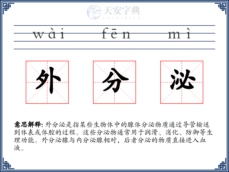外分泌